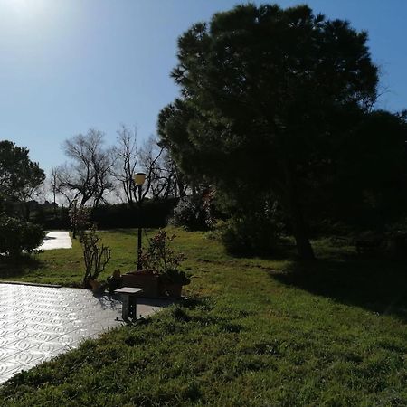 Le Tamerici B&B Ancona Dış mekan fotoğraf